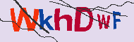 Güvenlik Kodu